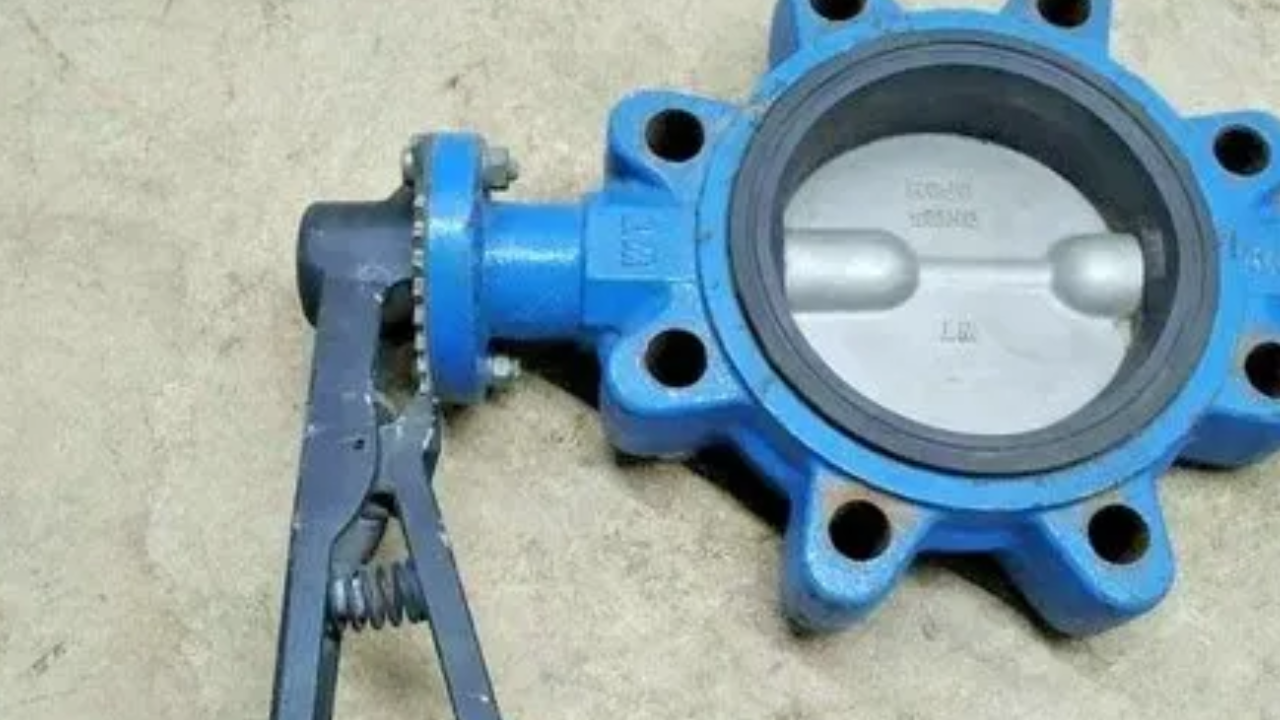 What Are The Considerations Factors To Choose The Best Lug Butterfly Valve?